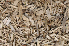 biomass boilers Gilbertstone